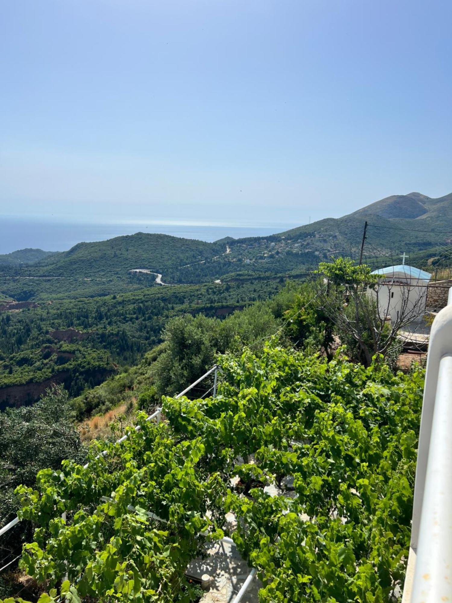 Villa Filip Vuno ภายนอก รูปภาพ