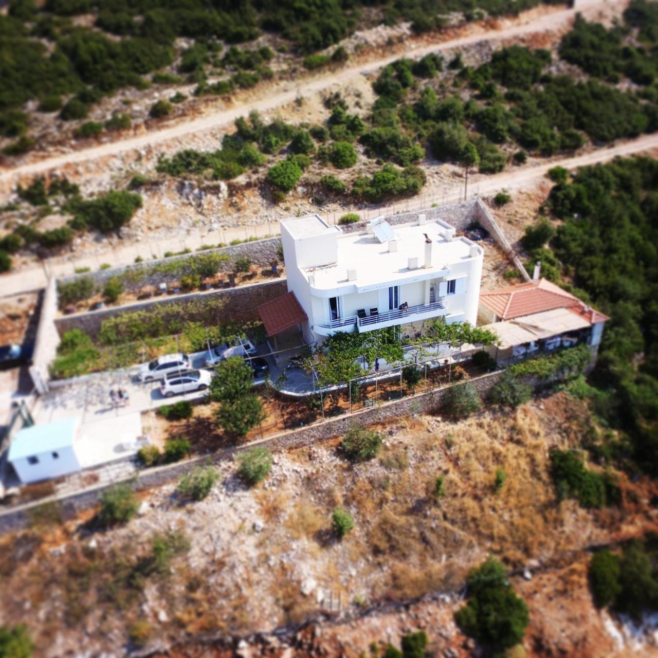 Villa Filip Vuno ภายนอก รูปภาพ
